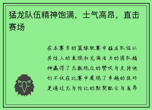 猛龙队伍精神饱满，士气高昂，直击赛场